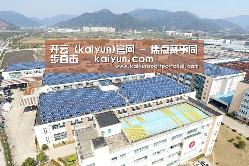 案例展示一