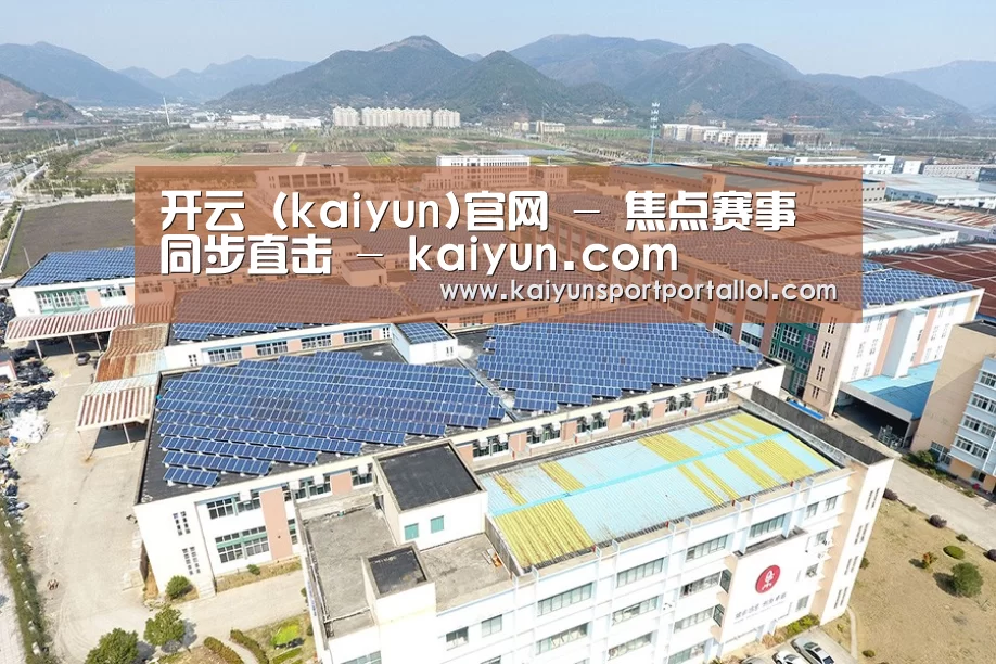 案例展示四