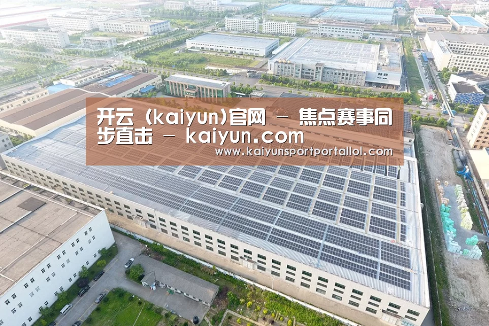 案例展示二