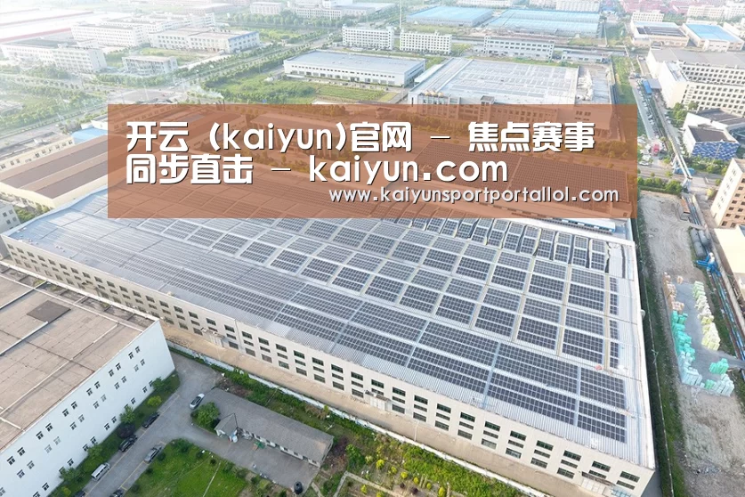 案例展示三