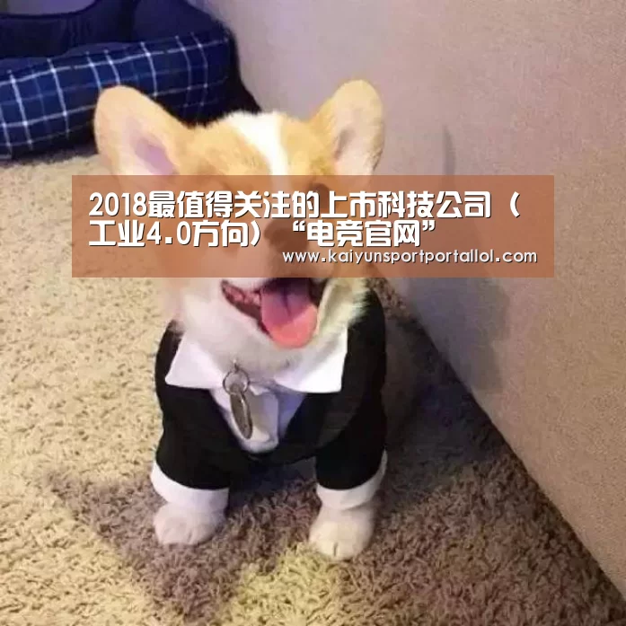 电竞官网