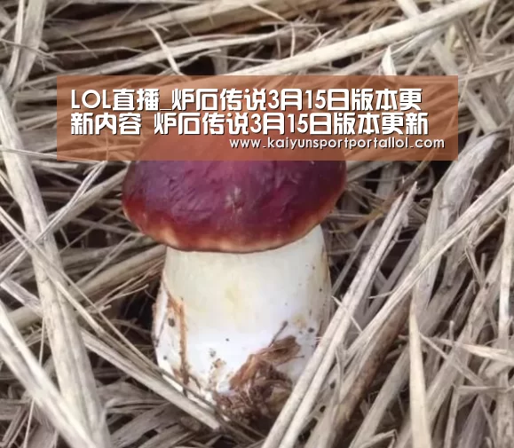 开云电竞官网