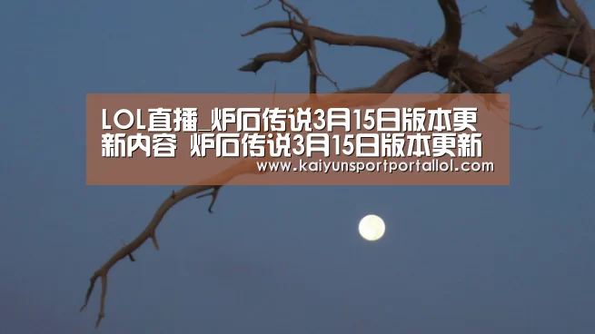 开云电竞官网