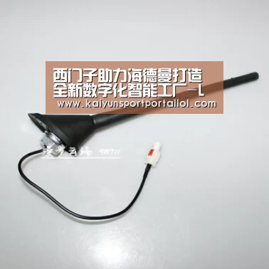 开云电竞官网
